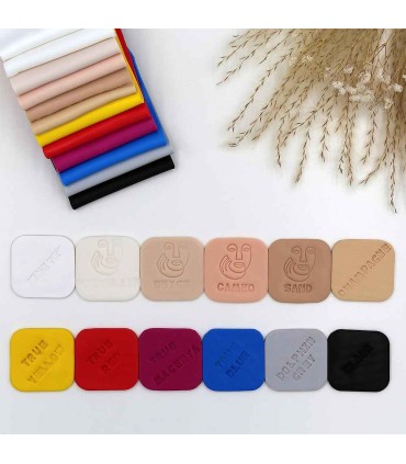 Polymer clay FIMO Professional 454g