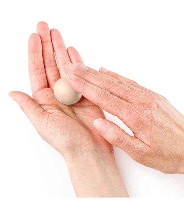 Polymer clay FIMO Professional 454g