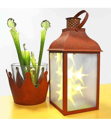 Rusty Patina VIVA DECOR