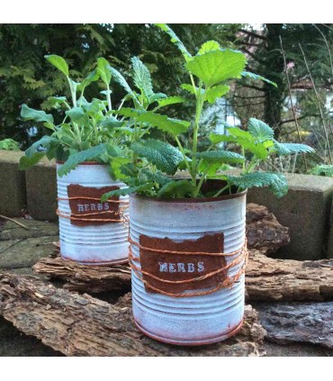 Patină de rugină Rusty VIVA DECOR