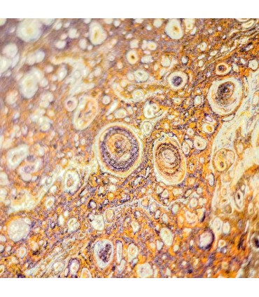 Pouring medium for thinning for acrylic paint, transparent, VIVA DECOR