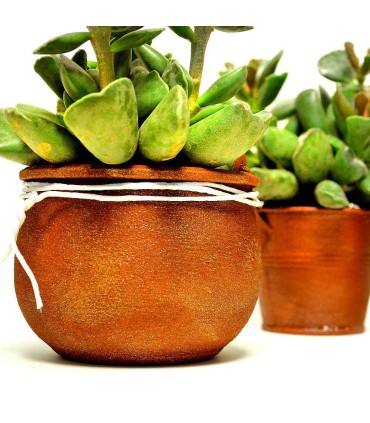 Rusty creative set for rust patina effect, VIVA DECOR