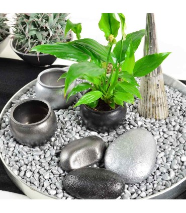 Set 5 vopsele metalice acrilice, VIVA DECOR, 5x100ml