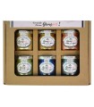 Set cadou creativ 6 vopsele metalice strălucitoare VIVA DECOR 6x30ml