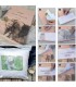 Lichid de transfer foto, VIVA DECOR