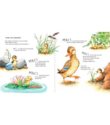 Primele mele povești cu animale