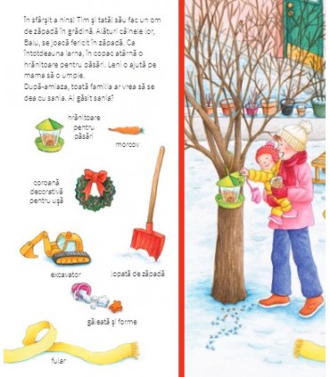 Caută și găsește - Iarna