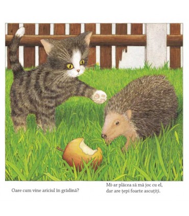 Sunt o pisică mititică